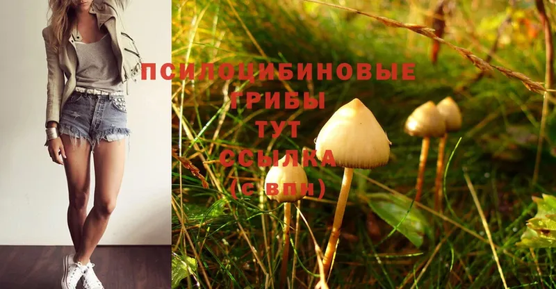 Галлюциногенные грибы Magic Shrooms  Новосибирск 